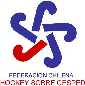 hokey cesped